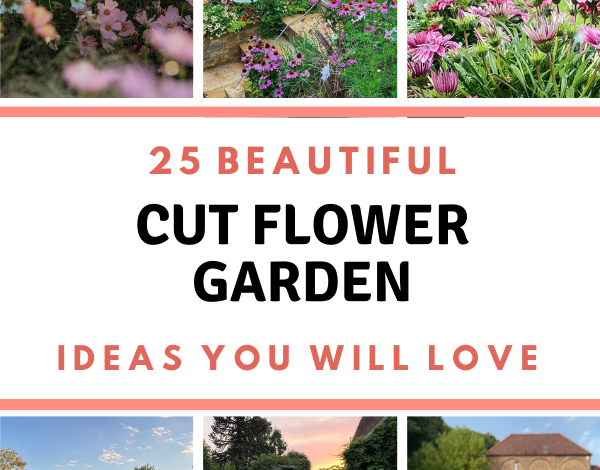 25 Beautiful And Mesmerizing Cut Flower Garden Ideas 